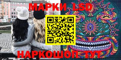 Альфа ПВП Краснознаменск