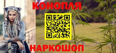 Альфа ПВП Краснознаменск