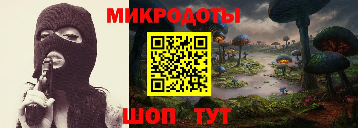 Зеленокумск  цены наркотик  Вход с VPN  Псилоцибиновые грибы Psilocybe 